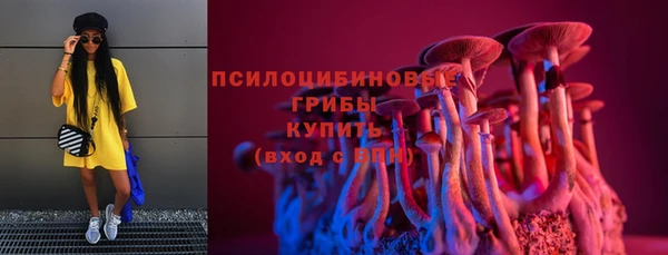 PSILOCYBIN Белоозёрский