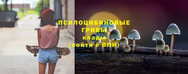 метадон Богородицк