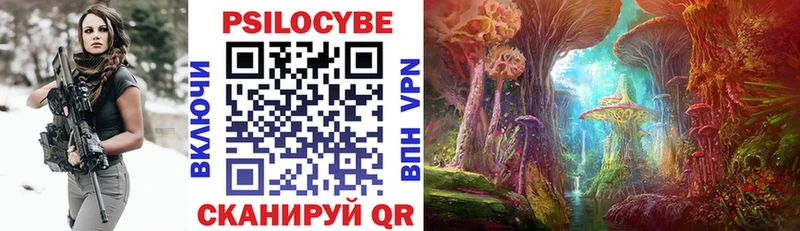 Галлюциногенные грибы Cubensis  Кудымкар 